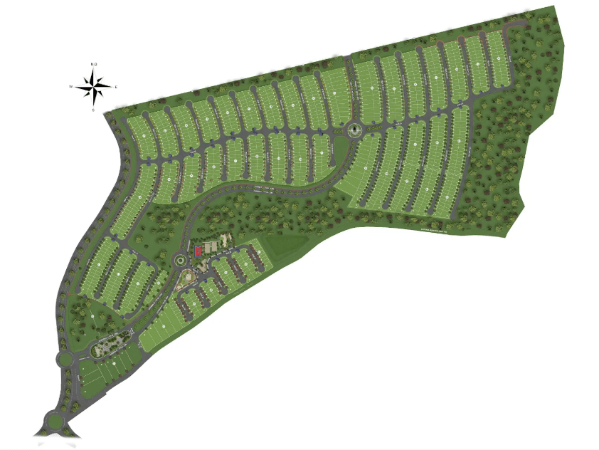 Parque dos Pinheiros 